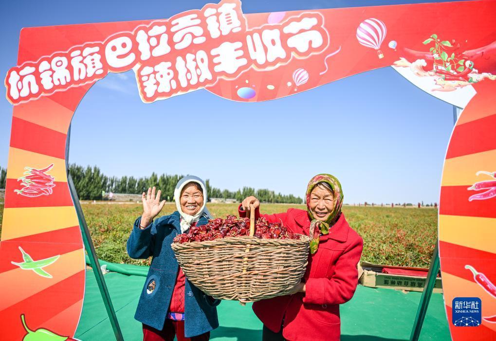 bbn官网